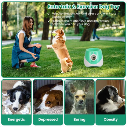 Automatic Pet Ball Launcher 