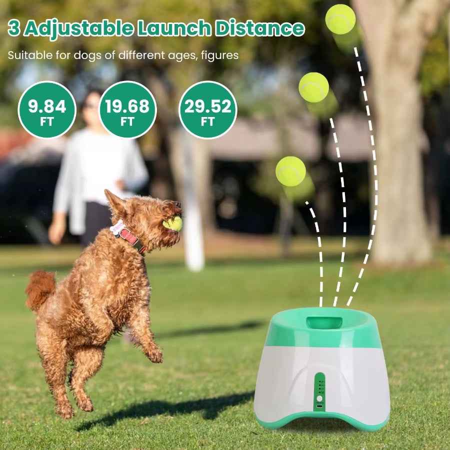 Automatic Pet Ball Launcher 