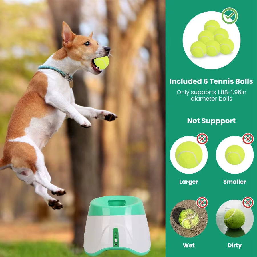 Automatic Pet Ball Launcher 