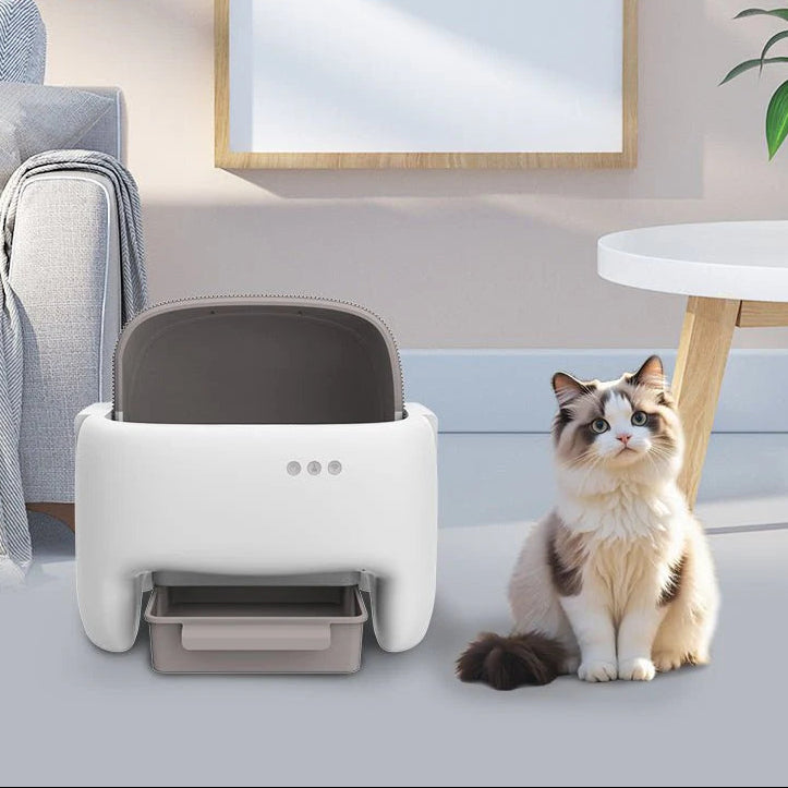 Self Cleaning Litter Box