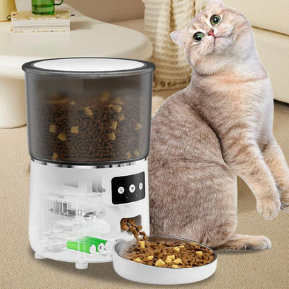 Smart Automatic Cat Feeder