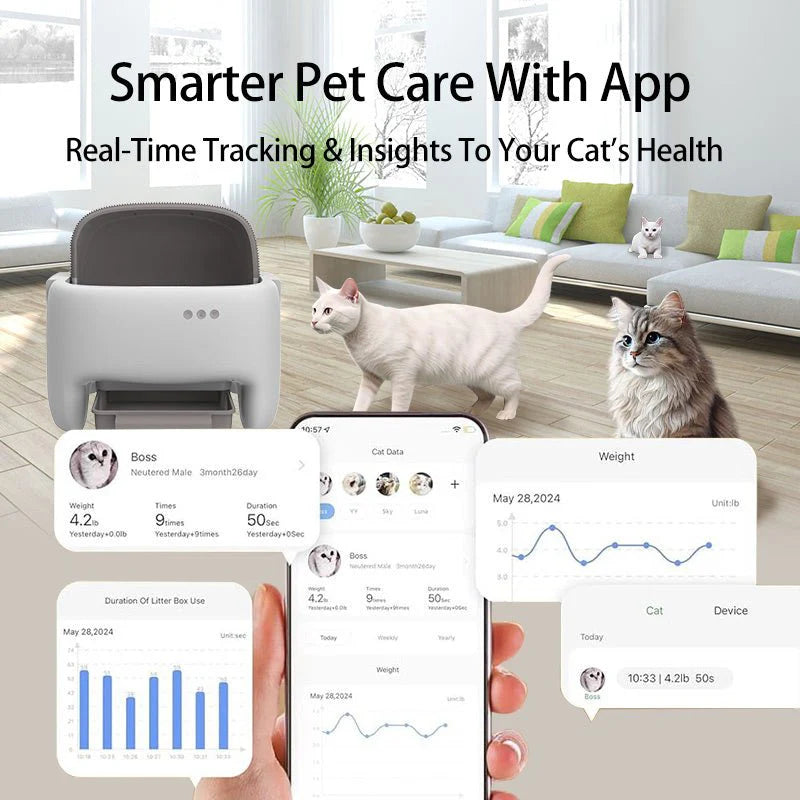 Self Cleaning Litter Box