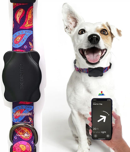 Apple Airtag Case with Dog Collar