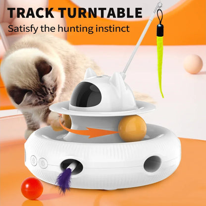 Interactive 4-In-1 Cat Toy
